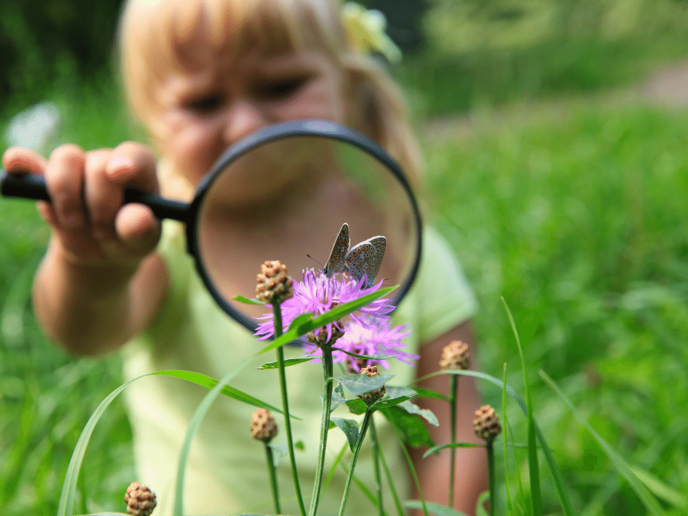 learning through nature