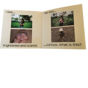 Feelings Book (toddlers and preschoolers)
